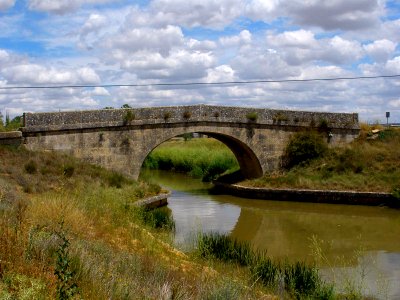 Amusco-Canal de Castilla 19