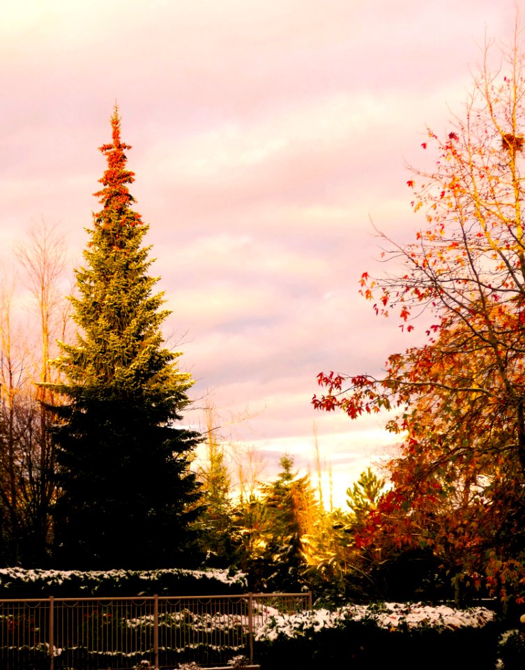An Autumn Scene (193755693)