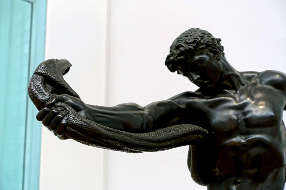 An Athlete Wrestling with a Python, by Frederic Leighton, detail, 1877, bronze - Galleria nazionale d'arte moderna - Rome, Italy - DSC05175