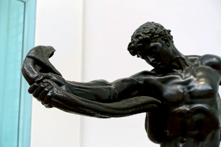 An Athlete Wrestling with a Python, by Frederic Leighton, detail, 1877, bronze - Galleria nazionale d'arte moderna - Rome, Italy - DSC05175 photo