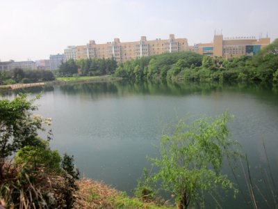 An artificial lake in Hunan Mass Media Vocational and Technical College2