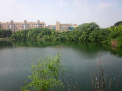 An artificial lake in Hunan Mass Media Vocational and Technical College1