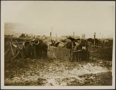 An active service stable, Bestanddeelnr 158-2801