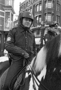 Amsterdam, politieman te paard met helm als proef, Bestanddeelnr 934-1460