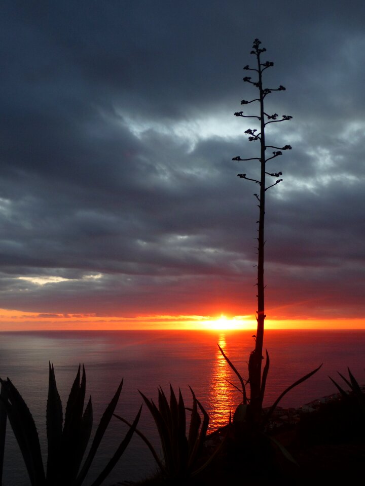 Afterglow romance sunset on the sea