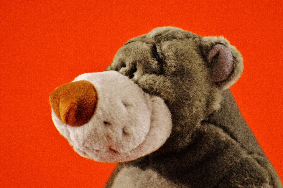 Stuffed animal cute toys