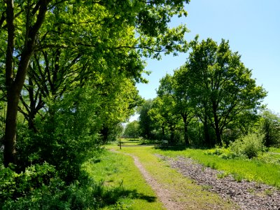 Amersfoort-kesteren - 2
