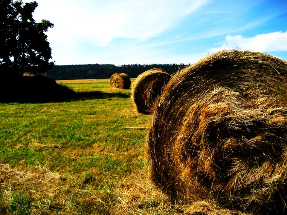 Rural nature countryside