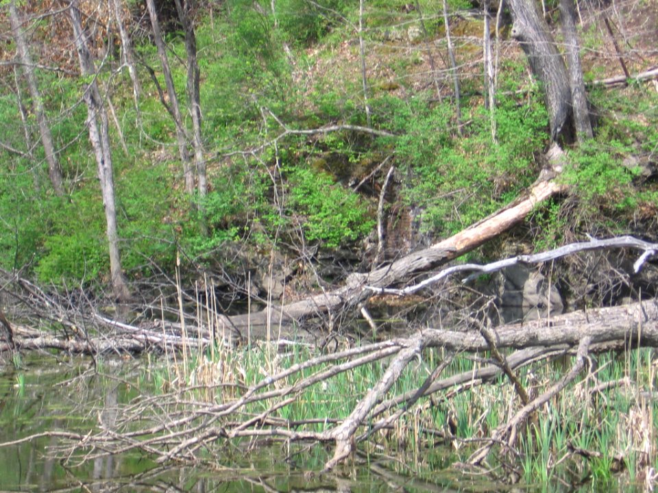 Amesville shop ruins 029