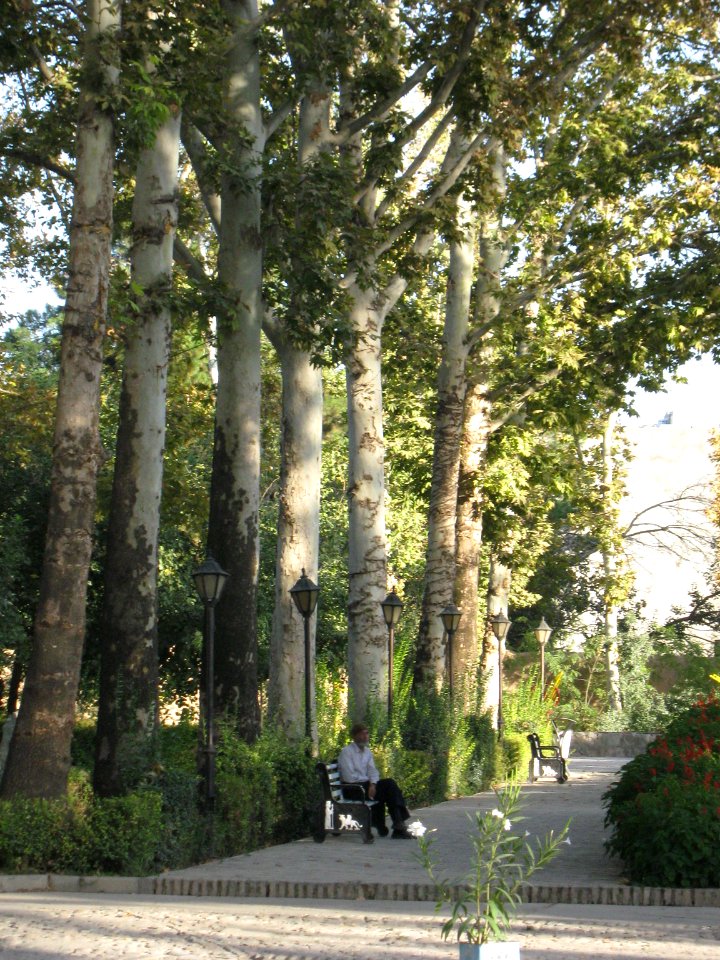 Amin al-Islami Park - Trees and Flowers - Nishapur 036