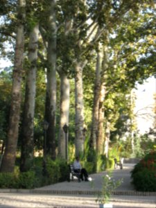 Amin al-Islami Park - Trees and Flowers - Nishapur 036