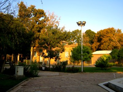 Amin Al-Islami Garden - tress at morning 7