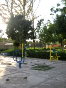 Amin al-Islami Park - Trees and Flowers - Nishapur 108