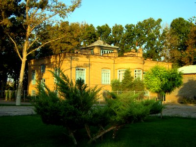 Amin Al-Islami Garden - tress at morning 4