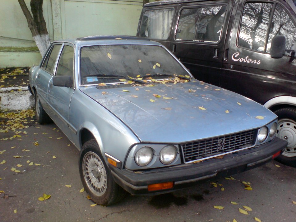 American Peugeot 505