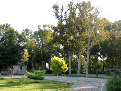 Amin al-Islami Park - Trees and Flowers - Nishapur 006