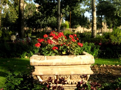 Amin al-Islami Park - Trees and Flowers - Nishapur 042