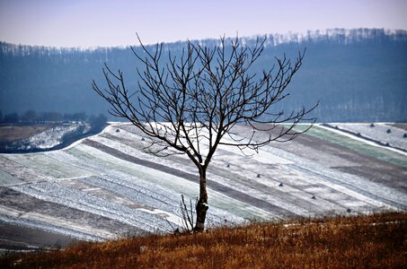 Frosty snowy landscape mountain