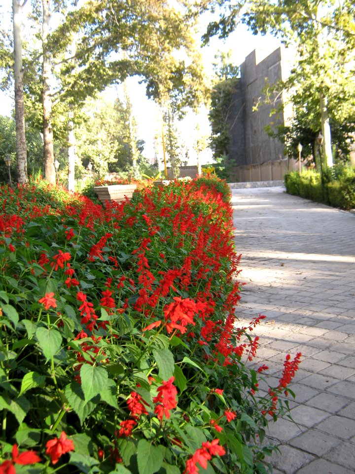 Amin al-Islami Park - Trees and Flowers - Nishapur 067