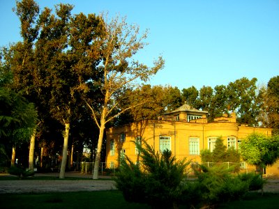 Amin Al-Islami Garden - tress at morning 3 photo