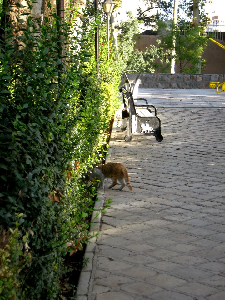 Amin al-Islami Park - Trees and Flowers - Nishapur 091