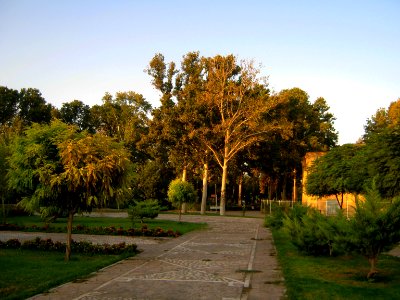 Amin Al-Islami Garden - tress at morning 8 photo