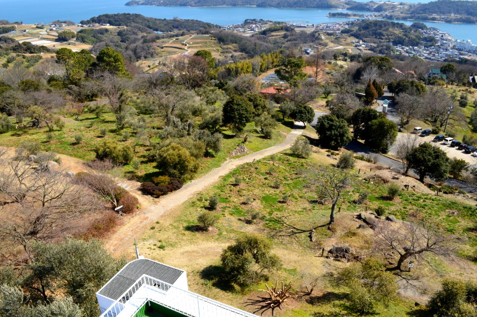 Amidayama Kofun Group, gaikan