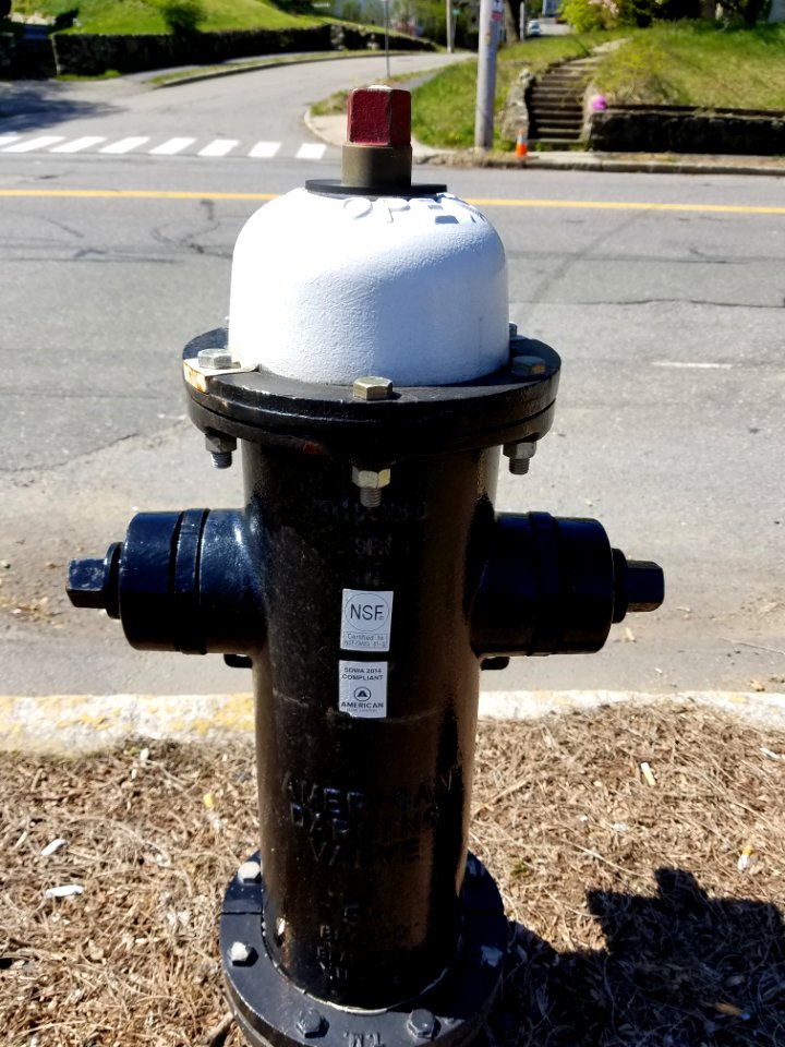 American Darling Valve fire hydrant - Arlington, MA - 20200513 102533