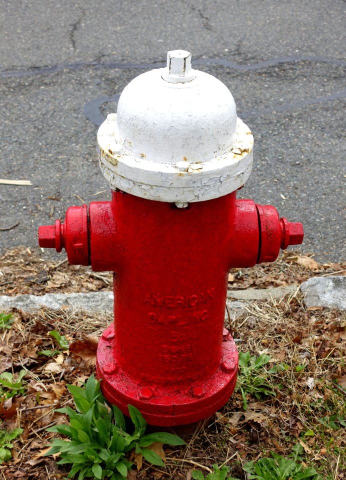 American Darling fire hydrant - Arlington, MA - DSC00543