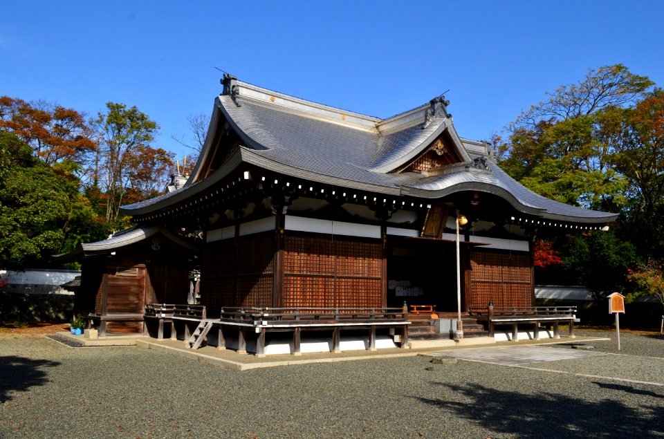 Amino-jinja, shaden