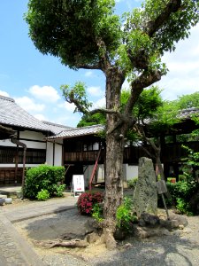 Amidaji Kamigyo-ku 013