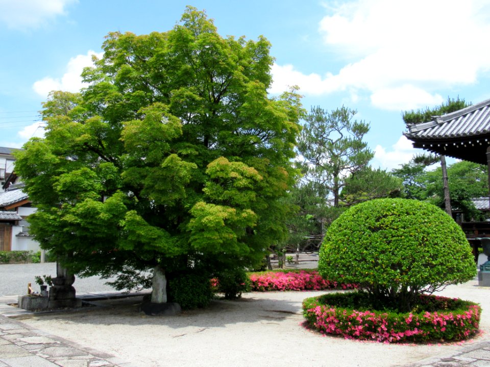 Amidaji Kamigyo-ku 007