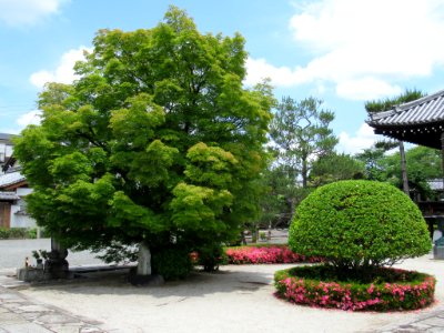 Amidaji Kamigyo-ku 007