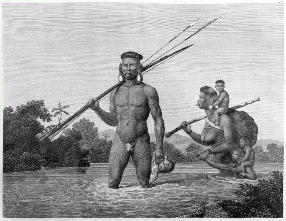 America, South America by Maximilian, Prince of Wied-Neuwied. Trip to Brazil in 1815