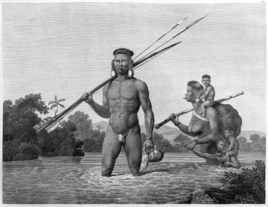 America, South America by Maximilian, Prince of Wied-Neuwied. Trip to Brazil in 1815