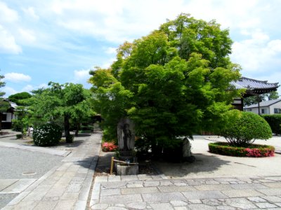 Amidaji Kamigyo-ku 004