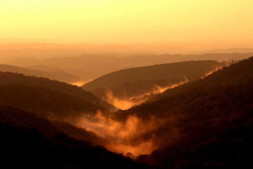 Fog mist nature