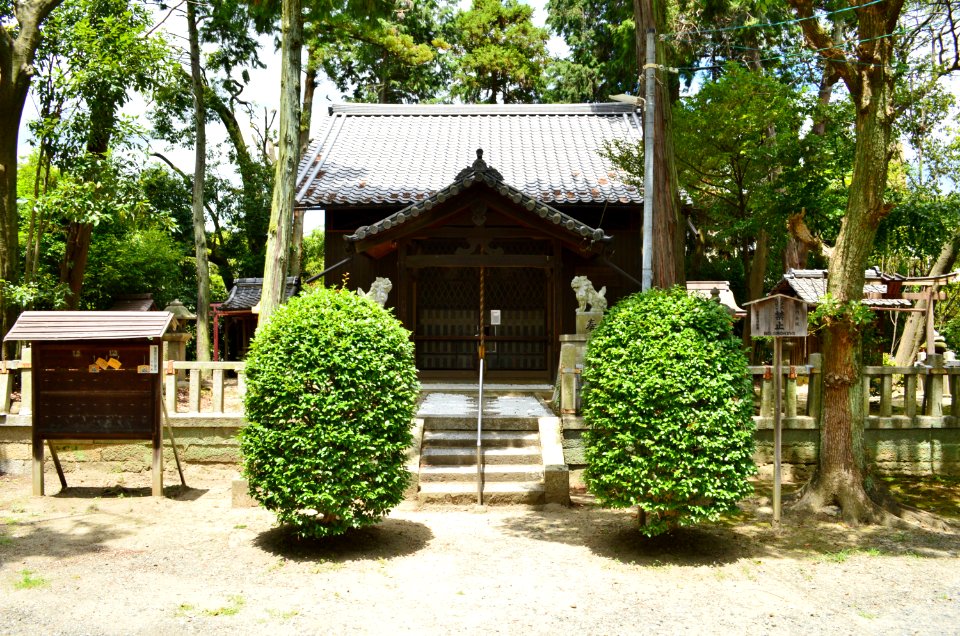 Amenohohinomikoto-jinja, honden photo