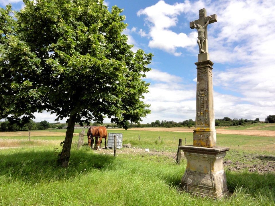 Amenoncourt (M-et-M) paysage avec croix de chemin