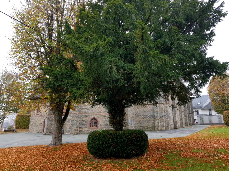 Amel-Kirche St. Hubertus (7)