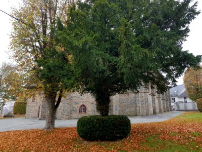 Amel-Kirche St. Hubertus (7)