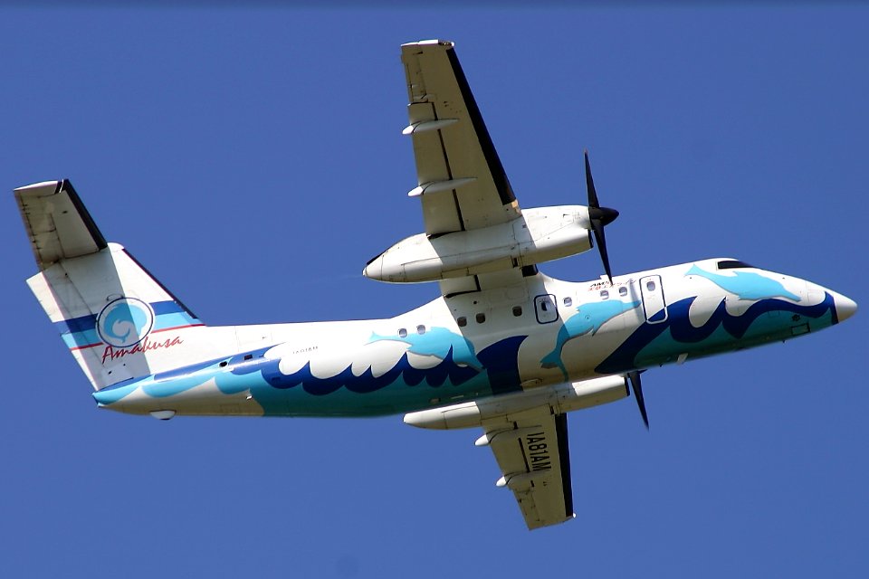AmakusaAirlines DHC-8-100 fukuoka 20040605154326