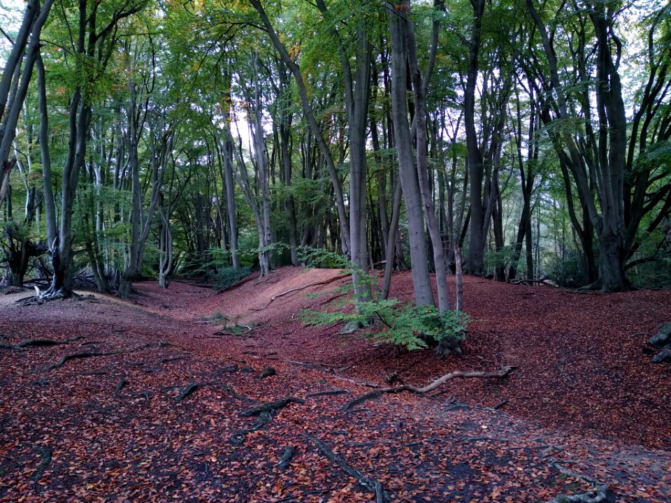 Ambresbury Banks 1