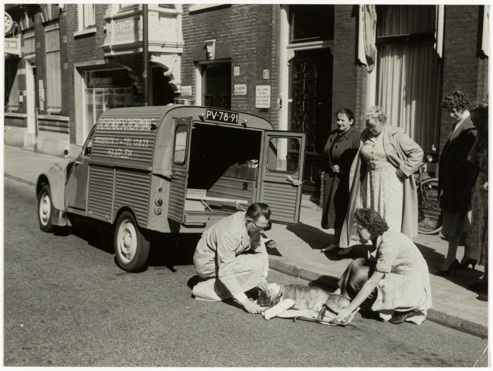 Ambulance van de Dierenbescherming, NL-HlmNHA 54004066