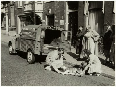 Ambulance van de Dierenbescherming, NL-HlmNHA 54004066