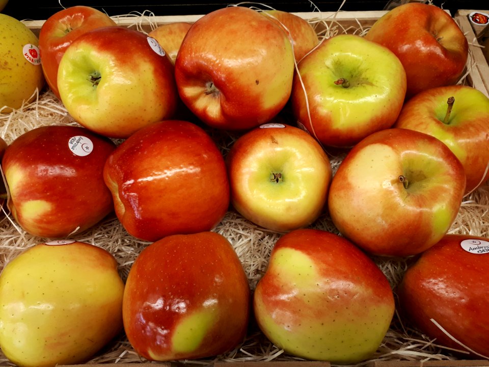 Ambrosia apples 2017 A1