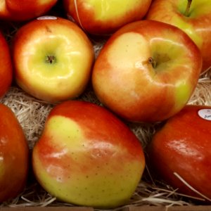 Ambrosia apples 2017 A3