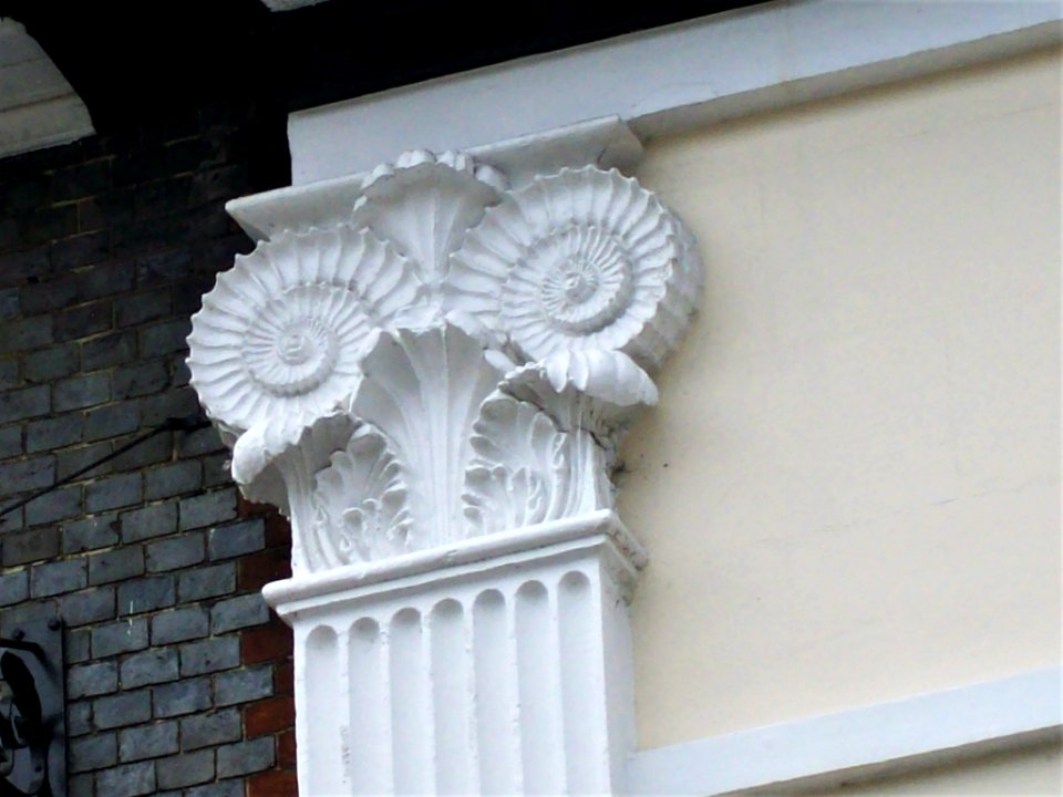 Ammonite capital, Mantell's house, Lewes