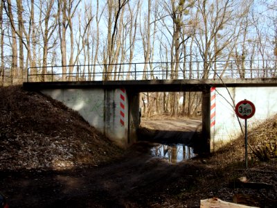 Ammerseebahn Greifenberg 01