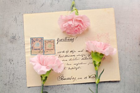 Antique post labeled